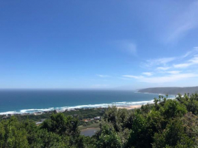 Forest Hill Wilderness